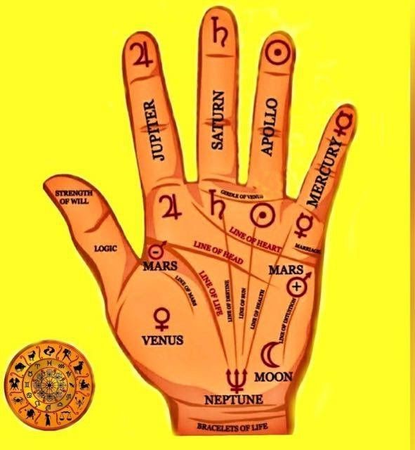 palm